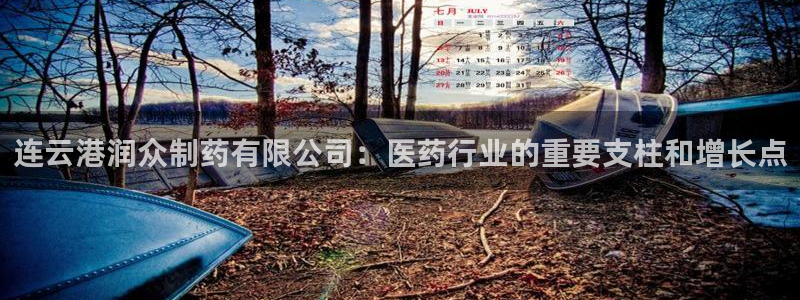 ag九游会老哥：连云港润众制药有限公司：医药行业的重要支柱和增长点