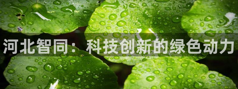 九游老哥俱乐部登录：河北智同：科技创新的绿色动力