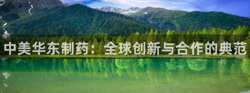 九游老哥俱乐部官网登录不了：中美华东制药：全球创新与合作的典范