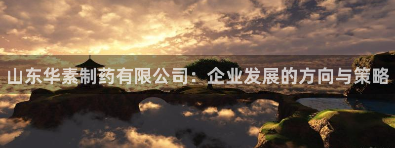 老哥俱乐部是干什么的：山东华素制药有限公司：企业发展的方向与策略