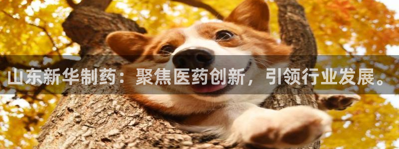 ag九游会老哥俱乐部：山东新华制药：聚焦医药创新，引领行业发展。