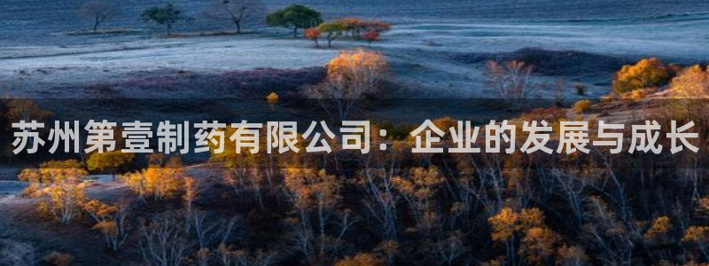 ag九游会老哥俱乐部：苏州第壹制药有限公司：企业的发展与成长