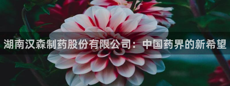 j9九游会老哥俱乐部交流区