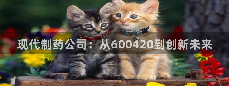 9游会老哥俱乐部：现代制药公司：从600420到创新未来
