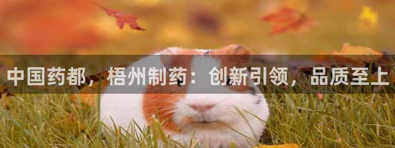 九游会老哥俱乐部：中国药都，梧州制药：创新引领，品质至上