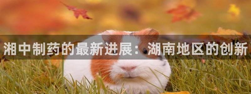 9游会老哥：湘中制药的最新进展：湖南地区的创新