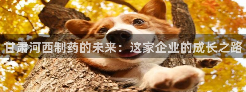九游会老哥俱乐部论坛版：甘肃河西制药的未来：这家企业的成长之路