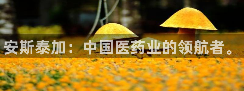 九游会老哥俱乐部官网：安斯泰加：中国医药业的领航者。
