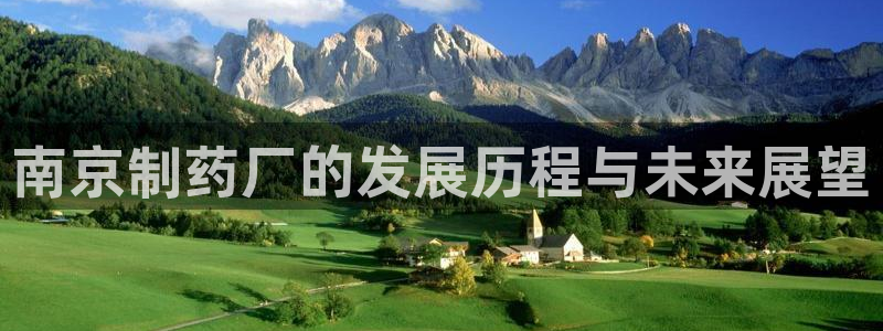 老哥俱乐部是干什么的：南京制药厂的发展历程与未来展望