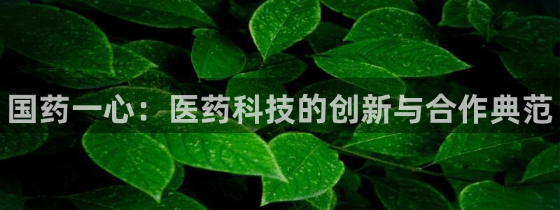 ag九游会老哥俱乐部：国药一心：医药科技的创新与合作典范