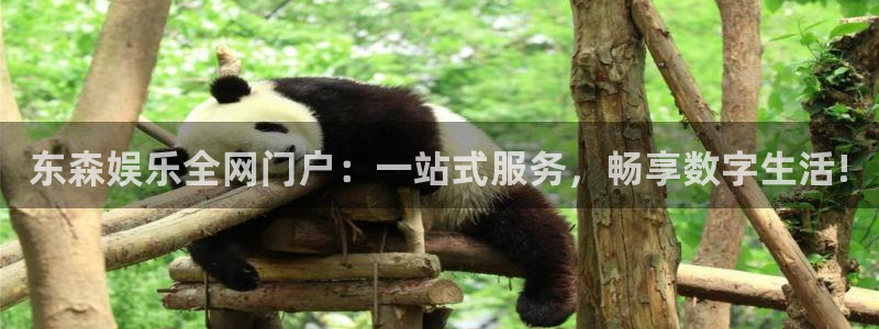 摩登7：东森娱乐全网门户：一站式服务，畅享数字生活!