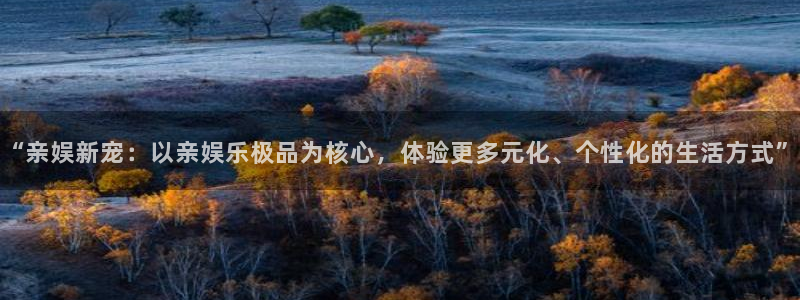 摩登7lite登录入口：“亲娱新宠：以亲娱乐极品为核心，体验更多元化、个性化的生活方式”