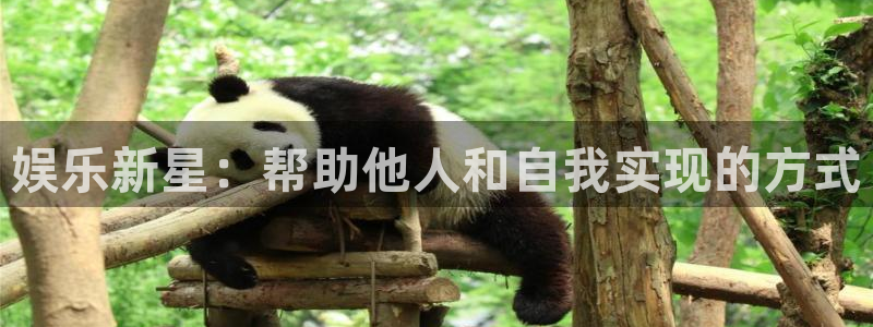 摩登7登录：娱乐新星：帮助他人和自我实现的方式