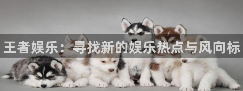 摩登7注册：王者娱乐：寻找新的娱乐热点与风向标
