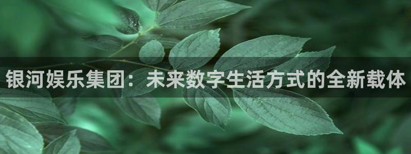 摩登7lite登录入口：银河娱乐集团：未来数字生活方式的全新载体