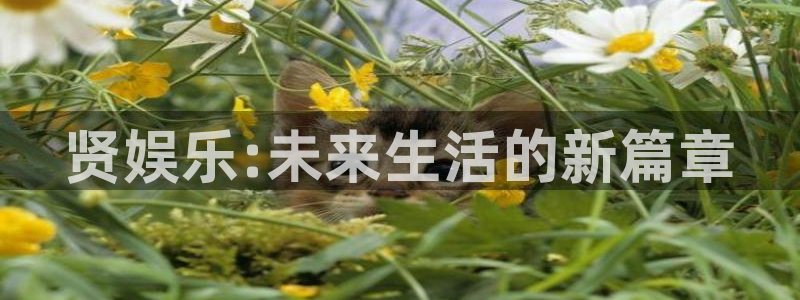 摩登7 lite注册：贤娱乐:未来生活的新篇章