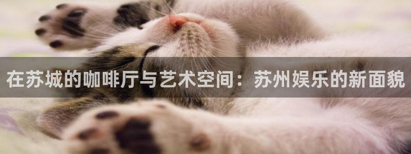 摩登7：在苏城的咖啡厅与艺术空间：苏州娱乐的新面貌