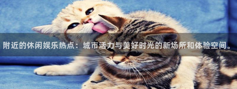 摩登7登录：附近的休闲娱乐热点：城市活力与美好时光的新场所和体验空间。